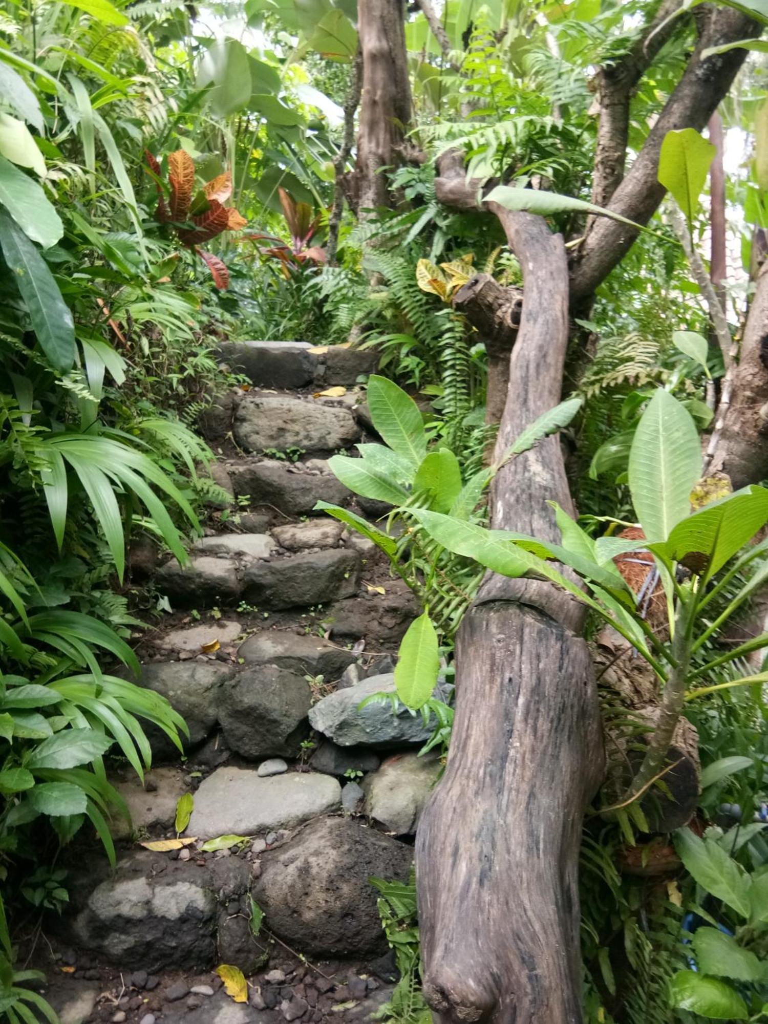 טג'אקולה Les Garden Villa מראה חיצוני תמונה