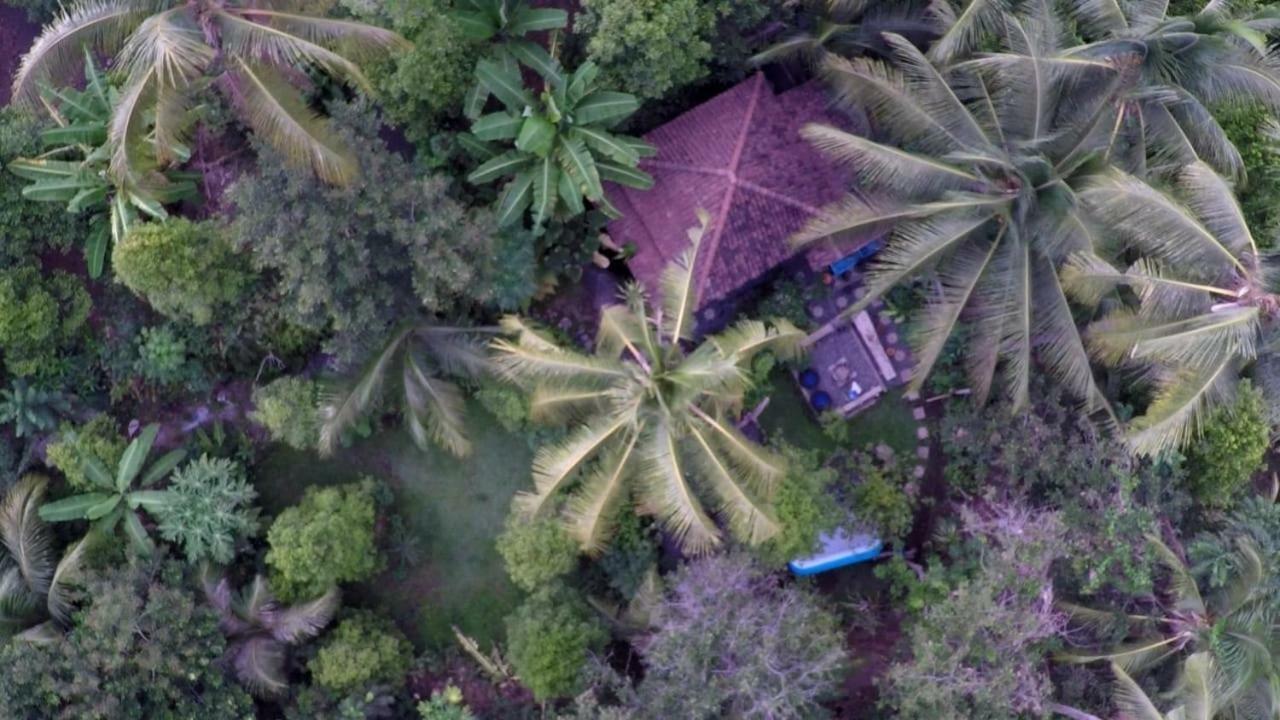 טג'אקולה Les Garden Villa מראה חיצוני תמונה